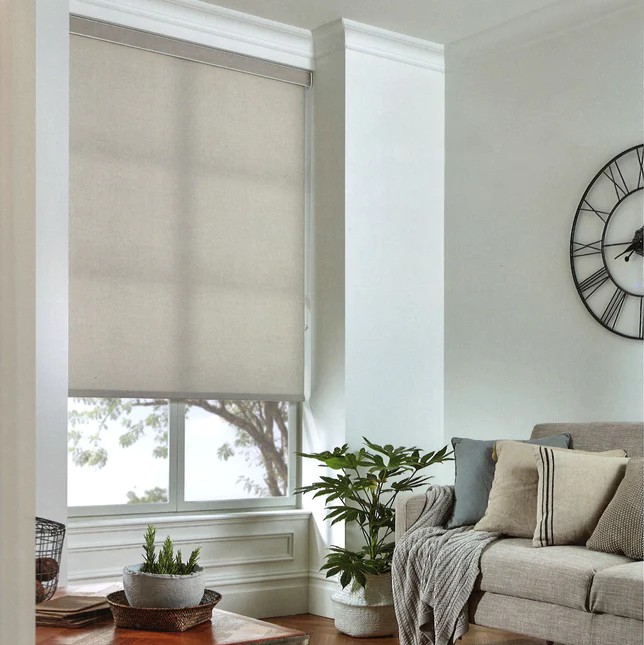 Screen Roller Blinds